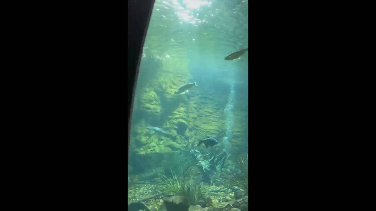 YouTube Video aus dem Donautunnel